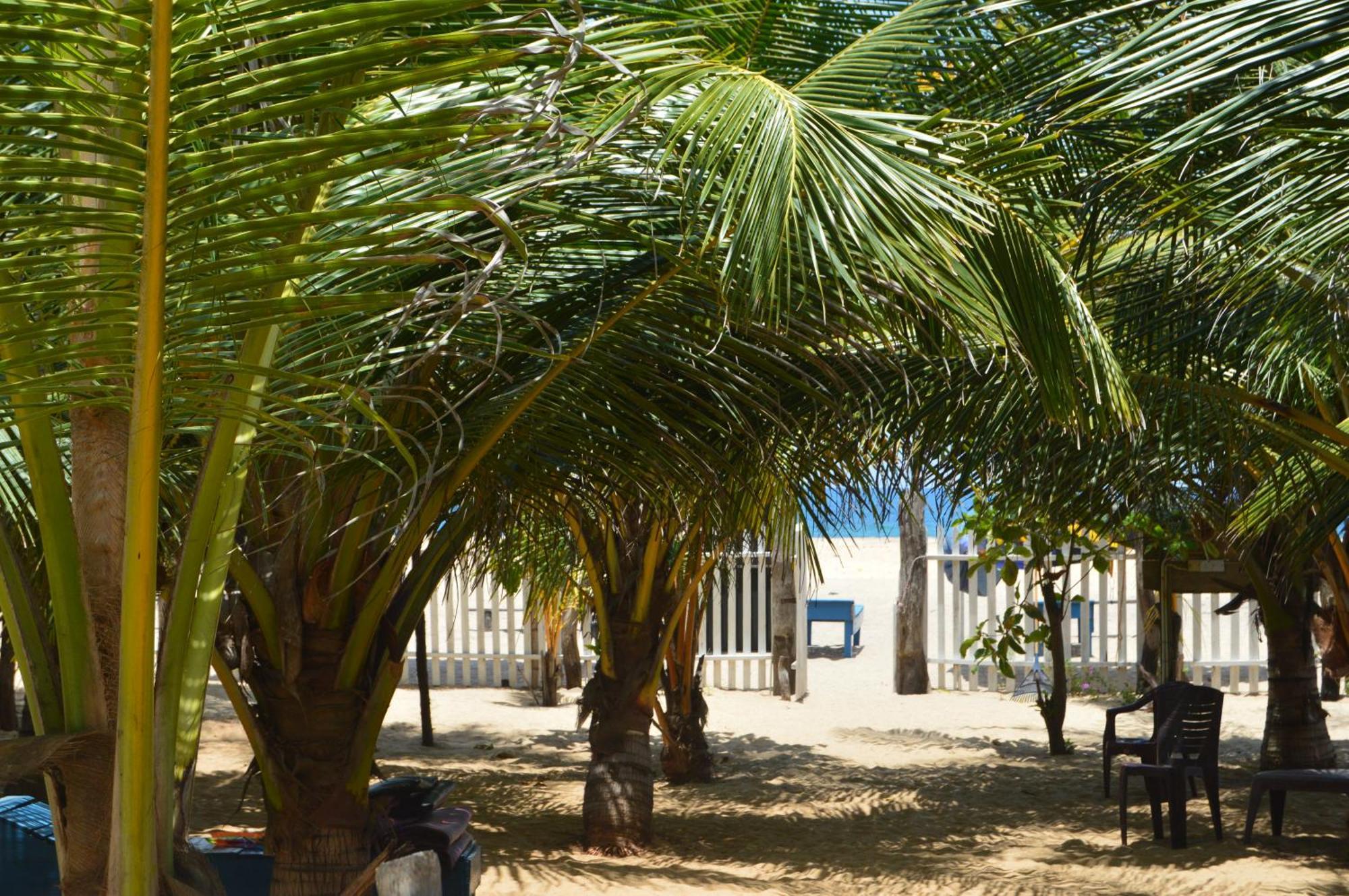 Shim Beach Resort Arugam Bay Exteriör bild