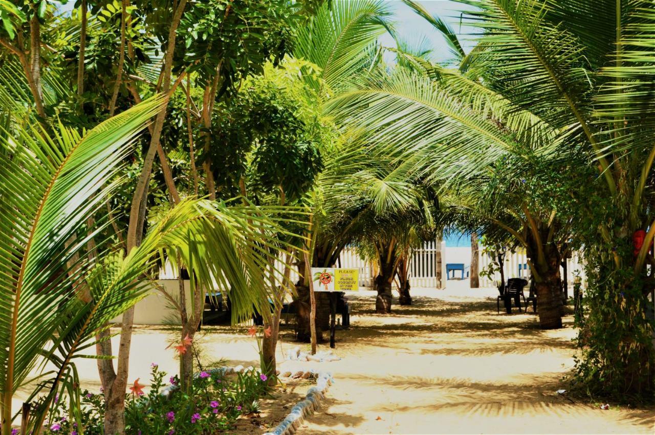 Shim Beach Resort Arugam Bay Exteriör bild
